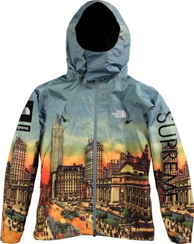 Cool city scape north face jacket | Jackets, North face jacket .
