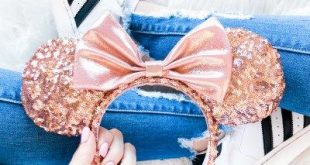 Rose Gold Minnie Ears | Disney Outfit Ideas | Disney Shirts .