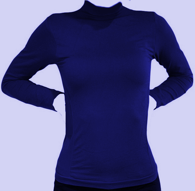Women's Long Sleeves Lycra Turtleneck T-Shirt Royal Bl